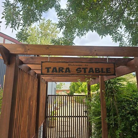 Tara Stables Villa Littlehampton Exterior foto